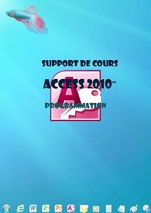 licence du cours Access 2010 programmation