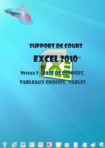 licence du cours excel 2010 base de données