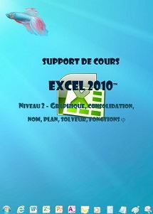 licence du cours excel 2010 gestion graphiques