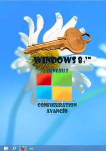 (imagepour) cours en ligne Windows 8 (eight) Niveau 2