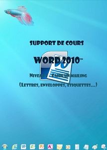 licence du cours word 2010 mailing