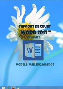 licence du cours word 2013 mailing