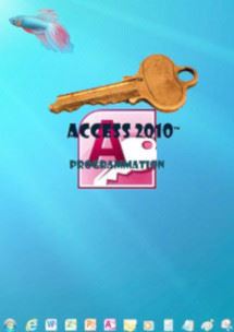 (imagepour) cours en ligne Access 2010 niveau 2 programmation