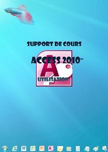 (imagepour) support de cours Access 2010, niveau 1, utilisation - Click Image to Close