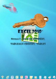 cours en ligne Excel 2010,tableaux croises,Si,conditionnel..