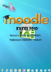 cours moodle Excel 2010,tableaux croises,Si,conditionnel..