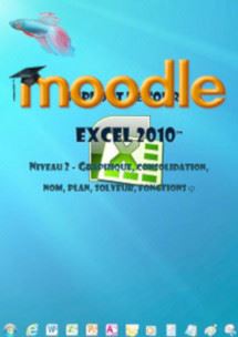 cours moodle excel 2010, gestion, graphiques, conso, solveur