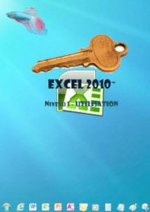 cours en ligne Excel 2010 1er niveau
