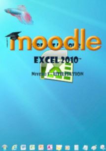cours moodle Excel 2010 1er niveau