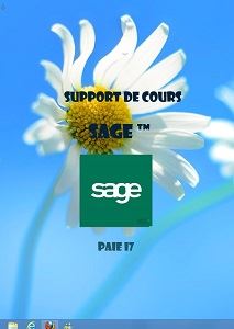 licence du cours sage paie i7