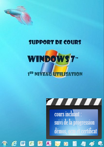 cours windows7