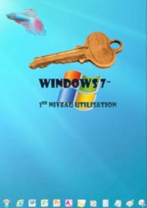 (imagepour) cours en ligne Windows 7 (seven) Niveau 1 - Click Image to Close