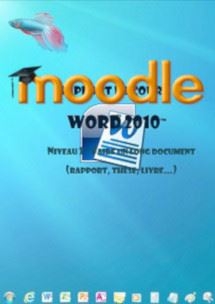 cours moodle Word 2010, Le long document, les objets