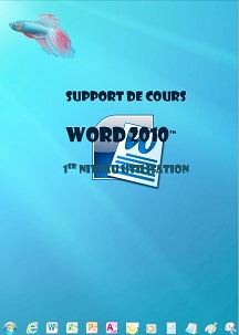 licence du cours word 2010 utilisation